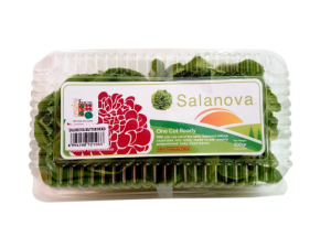 Salanova Green Butterhead